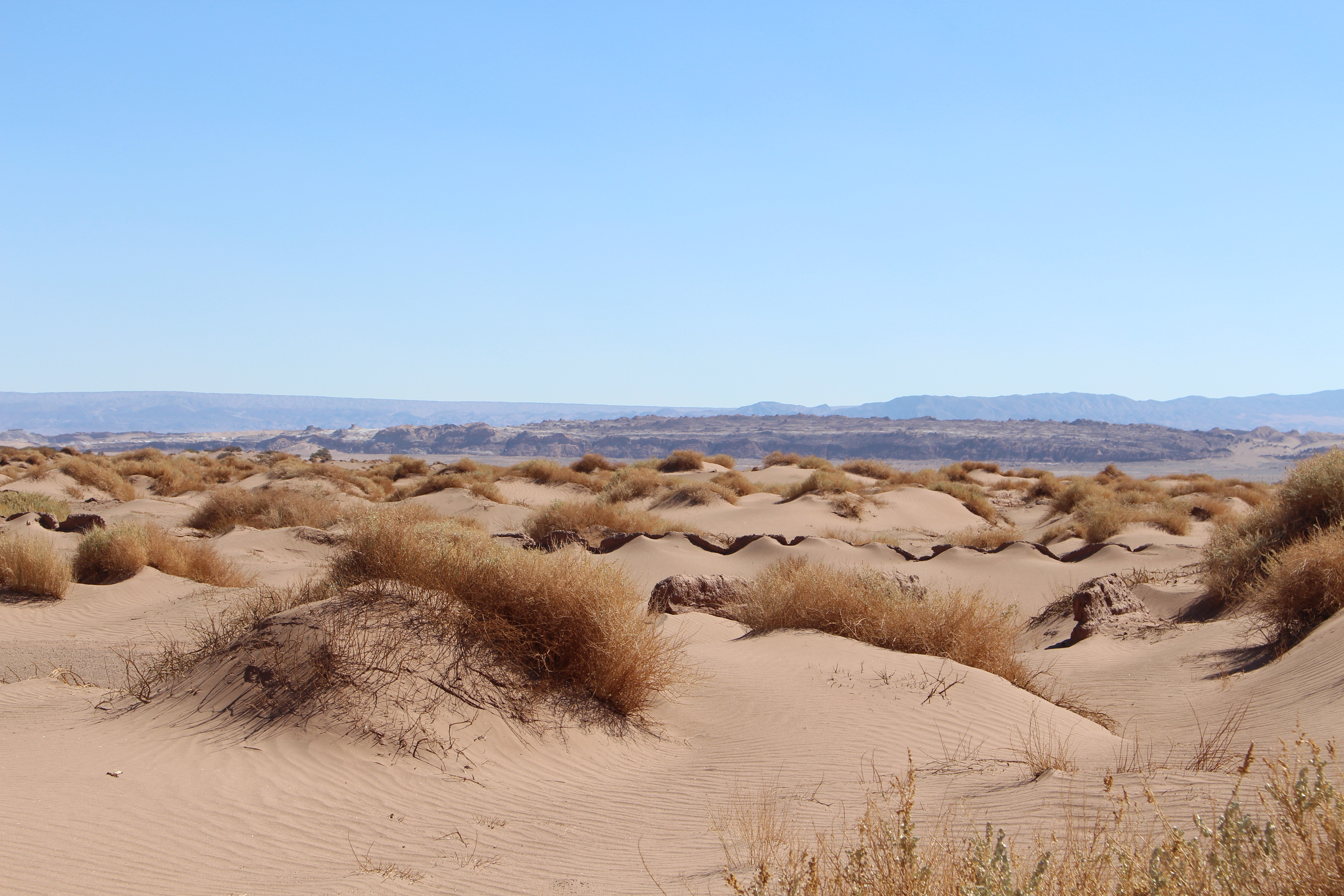 Picture of a desert 